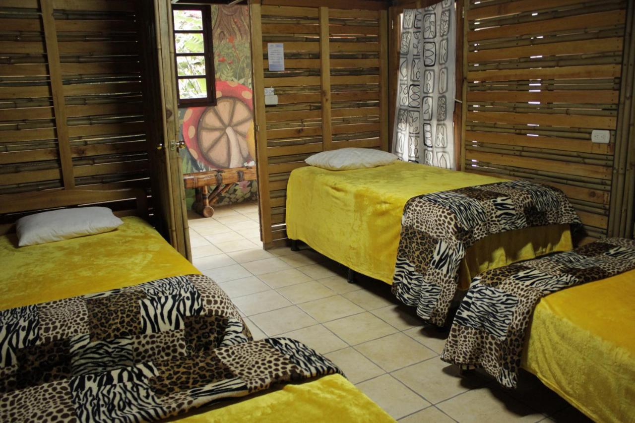 Hostal Casa Buho Антигуа-Гватемала Экстерьер фото